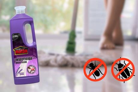 Limpieza profunda y protección total contra insectos rastreros Limpieza profunda y protección total contra insectos rastreros
