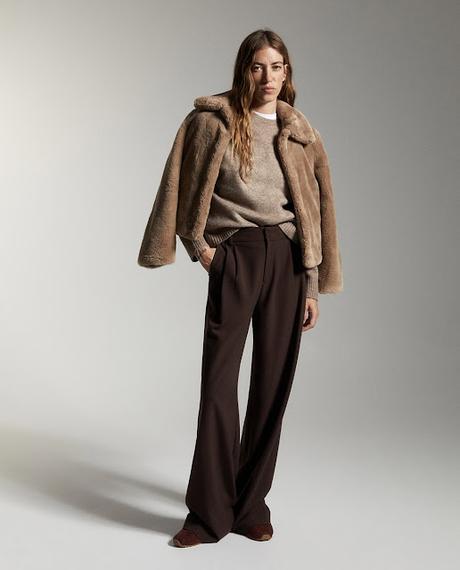 COMPRAS DE LA SEMANA ; NOVIEMBRE (III).-