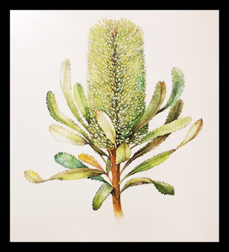 Canciones de amor. Poemas (Sara Teasdale).