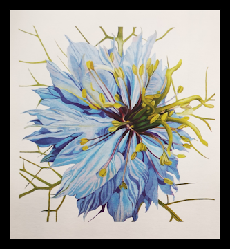 Canciones de amor. Poemas (Sara Teasdale).