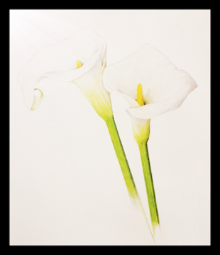 Canciones de amor. Poemas (Sara Teasdale).