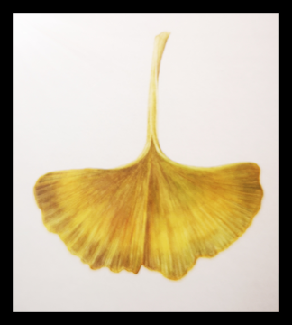 Canciones de amor. Poemas (Sara Teasdale).