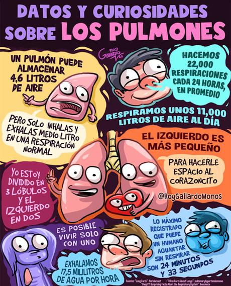 PUlmones