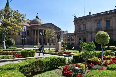 Gobierno de la Capital coloca nochebuenas en plazas y jardines del Centro Histórico