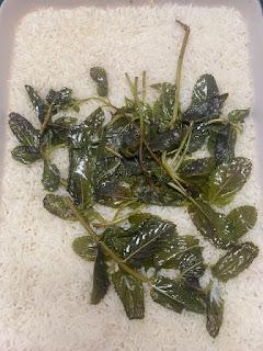 ARROZ AL HORNO CON GRANADA, ACEITUNAS, QUESO