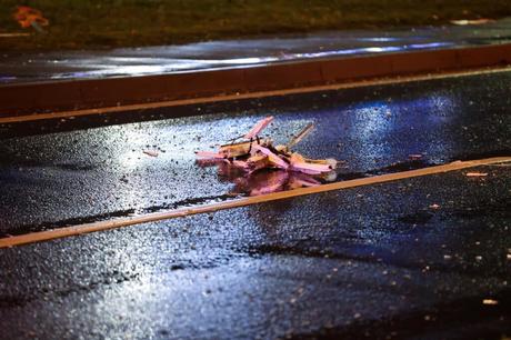 España y Arabia Saudí «unen fuerzas» por la paz en Gaza durante la cumbre del G20 España y Arabia Saudí «unen fuerzas» por la paz en Gaza durante la cumbre del G20