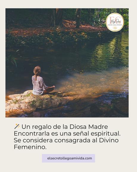 🪨✨ La Piedra Bruja: uno de los amuletos naturales más poderosos.