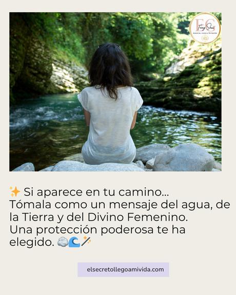 🪨✨ La Piedra Bruja: uno de los amuletos naturales más poderosos.