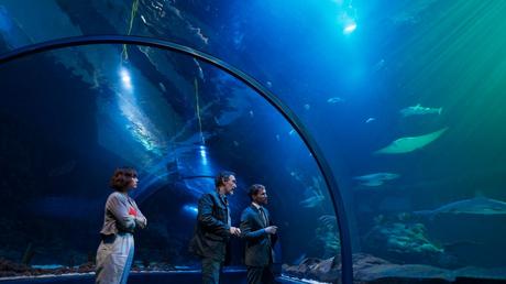 Una vida menos en Canarias con Natalia Verbeke llega a Atreseries Internacional el 25 de noviembre Una vida menos en Canarias con Natalia Verbeke llega a Atreseries Internacional el 25 de noviembre