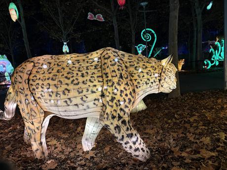 Mágicas Navidades de Madrid, un parque de hielo, luces y navidad Mágicas Navidades de Madrid, un parque de hielo, luces y navidad