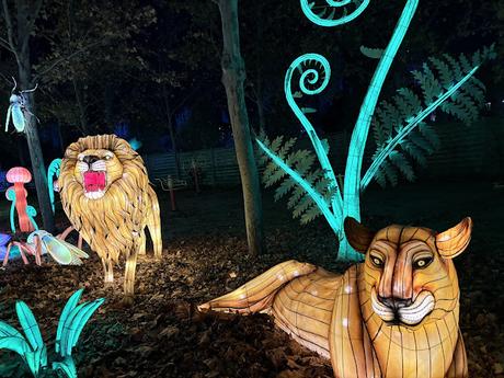 Mágicas Navidades de Madrid, un parque de hielo, luces y navidad Mágicas Navidades de Madrid, un parque de hielo, luces y navidad