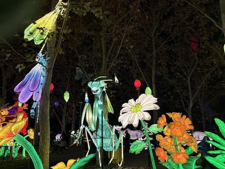 Mágicas Navidades de Madrid, un parque de hielo, luces y navidad Mágicas Navidades de Madrid, un parque de hielo, luces y navidad