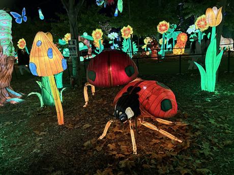 Mágicas Navidades de Madrid, un parque de hielo, luces y navidad Mágicas Navidades de Madrid, un parque de hielo, luces y navidad