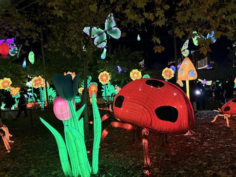 Mágicas Navidades de Madrid, un parque de hielo, luces y navidad Mágicas Navidades de Madrid, un parque de hielo, luces y navidad
