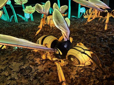 Mágicas Navidades de Madrid, un parque de hielo, luces y navidad Mágicas Navidades de Madrid, un parque de hielo, luces y navidad