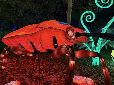 Mágicas Navidades de Madrid, un parque de hielo, luces y navidad Mágicas Navidades de Madrid, un parque de hielo, luces y navidad