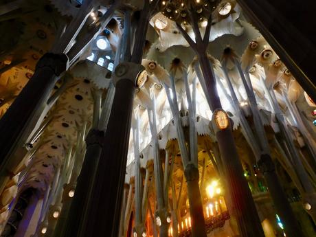 Un bosque de piedra y luz.