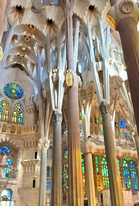 Un bosque de piedra y luz.
