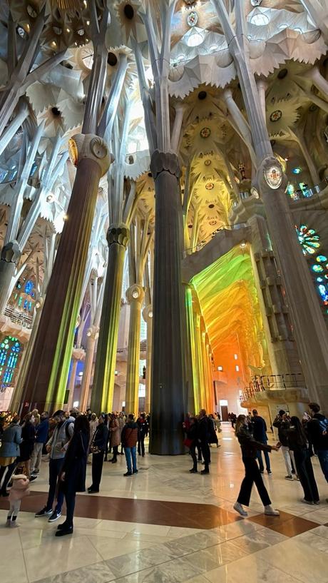 Un bosque de piedra y luz.