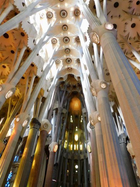 Un bosque de piedra y luz.