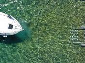 Contratación online cobertura total, Elsegurodemibarco.com simplifica seguro embarcaciones recreativas