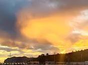 PELÁGICA DESDE BERMEO noviembre 2025