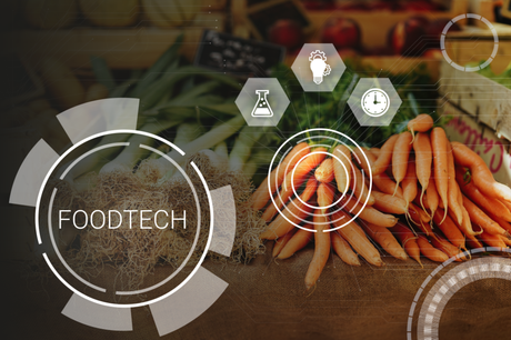 El auge del foodtech dispara la demanda de talento híbrido que une ciencia, tecnología y sostenibilidad El auge del foodtech dispara la demanda de talento híbrido que une ciencia, tecnología y sostenibilidad