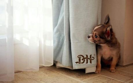 - Cortinas Chenilla.