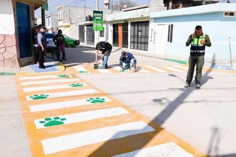 Con obra de alto impacto social, Alcalde Juan Manuel Navarro mejora movilidad y seguridad en la colonia Primero de Mayo