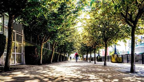 ¿Qué hacer según la época del año en Vancouver? Las estaciones en Vancouver