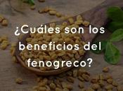¿Cuáles beneficios fenogreco?