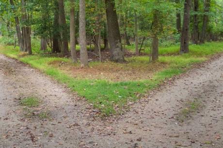 ¿Se sufren altibajos emocionales en la vida? Se podría estar sufriendo el inicio de un trastorno bipolar ¿Se sufren altibajos emocionales en la vida? Se podría estar sufriendo el inicio de un trastorno bipolar