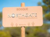 Northgate planta décimo bosque recupera espacios degradados 5.000 especies