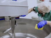 Tot-Net refuerza seguridad alimentaria servicios especializados limpieza sector cacao chocolatería