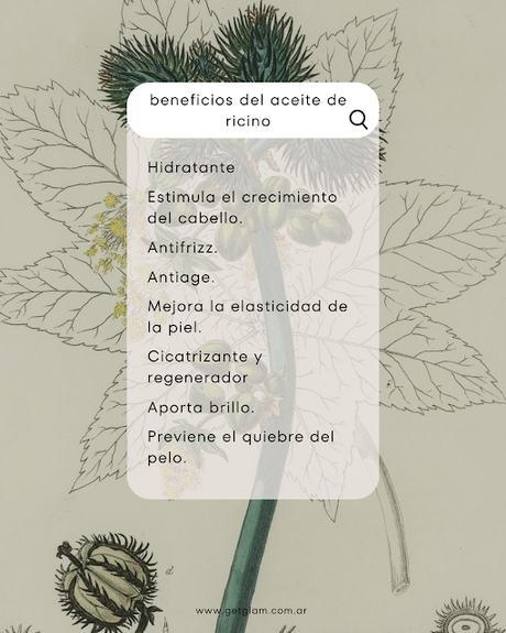 Aceite de ricino: piel para que sirve pelo cara como se usa propiedades pestañas cejas beauty tips haircare crecimiendo beneficios funciona Farmacity