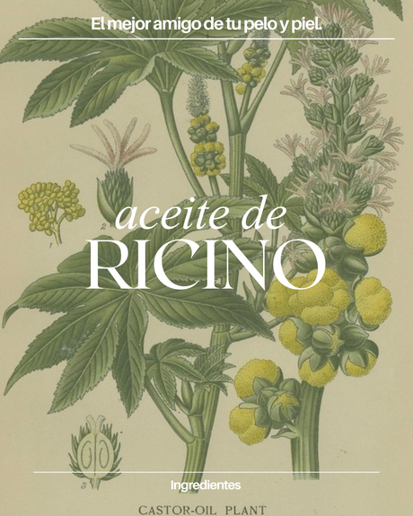 Aceite de ricino: piel para que sirve pelo cara como se usa propiedades pestañas cejas beauty tips haircare crecimiendo beneficios funciona Farmacity
