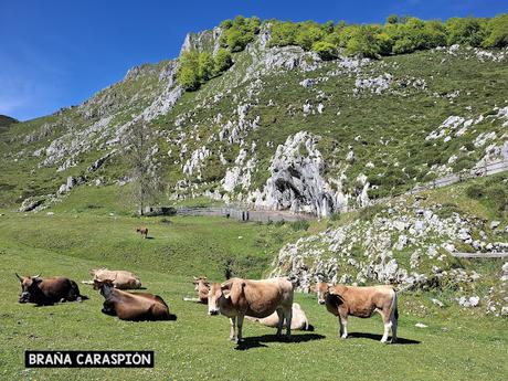 Puente la Vidre-Braña Caraspión-Cuetu las Vacas-Cuetu Legua