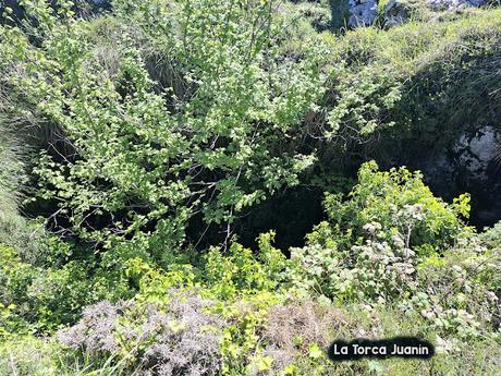 Puente la Vidre-Braña Caraspión-Cuetu las Vacas-Cuetu Legua