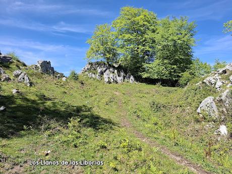 Puente la Vidre-Braña Caraspión-Cuetu las Vacas-Cuetu Legua