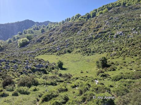 Puente la Vidre-Braña Caraspión-Cuetu las Vacas-Cuetu Legua