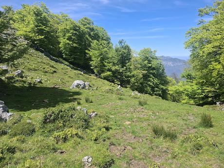 Puente la Vidre-Braña Caraspión-Cuetu las Vacas-Cuetu Legua