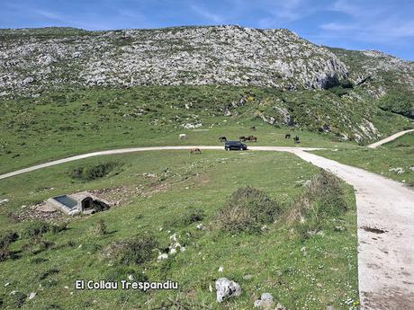 Puente la Vidre-Braña Caraspión-Cuetu las Vacas-Cuetu Legua