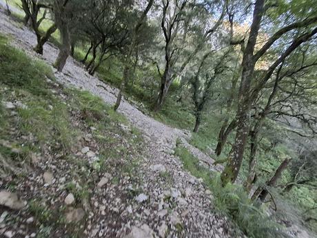 Puente la Vidre-Braña Caraspión-Cuetu las Vacas-Cuetu Legua