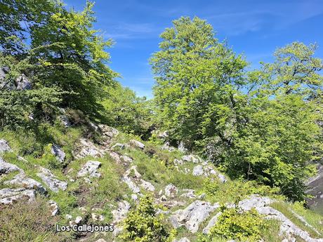 Puente la Vidre-Braña Caraspión-Cuetu las Vacas-Cuetu Legua