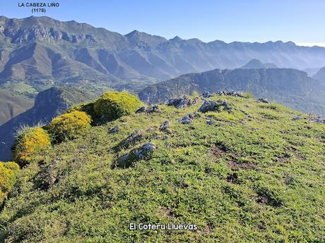 Puente la Vidre-Braña Caraspión-Cuetu las Vacas-Cuetu Legua