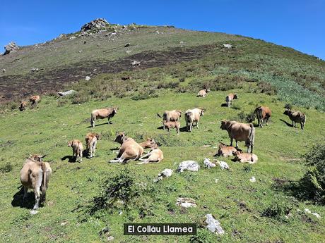 Puente la Vidre-Braña Caraspión-Cuetu las Vacas-Cuetu Legua