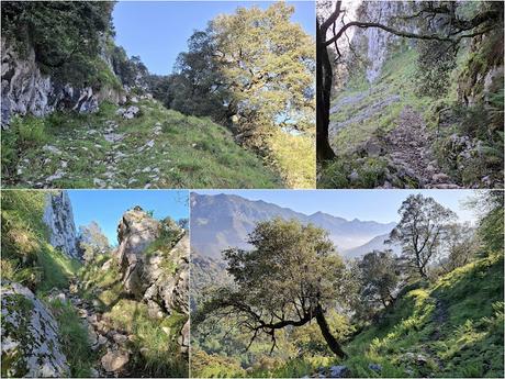 Puente la Vidre-Braña Caraspión-Cuetu las Vacas-Cuetu Legua