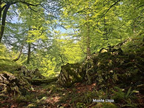 Puente la Vidre-Braña Caraspión-Cuetu las Vacas-Cuetu Legua
