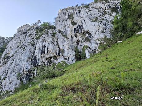 Puente la Vidre-Braña Caraspión-Cuetu las Vacas-Cuetu Legua