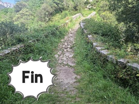 Puente la Vidre-Braña Caraspión-Cuetu las Vacas-Cuetu Legua